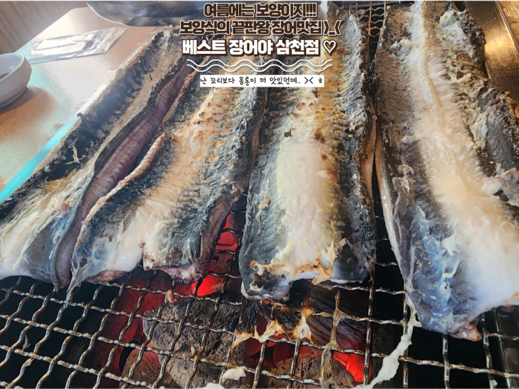  전주 삼천동 맛집 : [베스트장어야 삼천점] 내돈내산 전주 장어 찐맛집! 여름에 몸보신 잘해야지! 장어효능은?