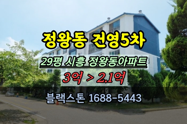  시화평안마을건영5차 경매 29평 정왕동아파트 매매