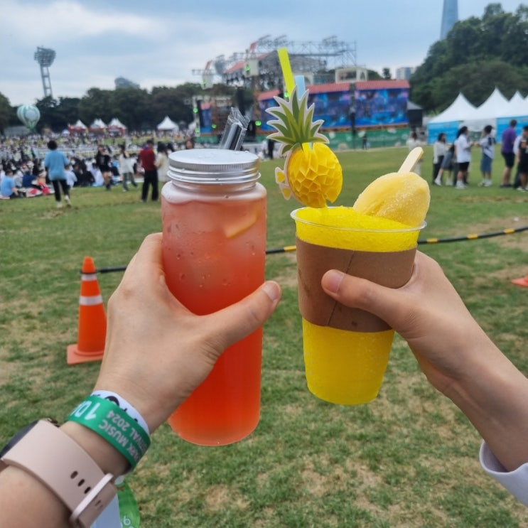  2024 서울파크뮤직페스티벌 1일차 후기
