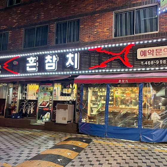 혼참치 사진 2
