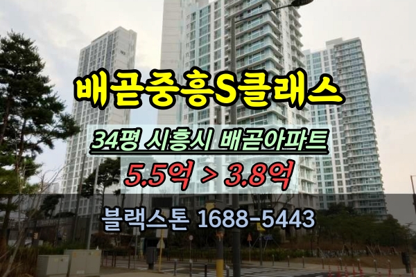  배곧중흥S클래스 경매 34평 시흥 배곧신도시 부동산