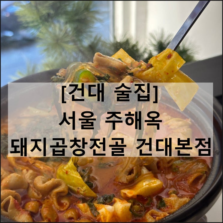  서울 주해옥 돼지곱창전골 건대본점 | 건대입구맛집 건대술집 건대입구술집