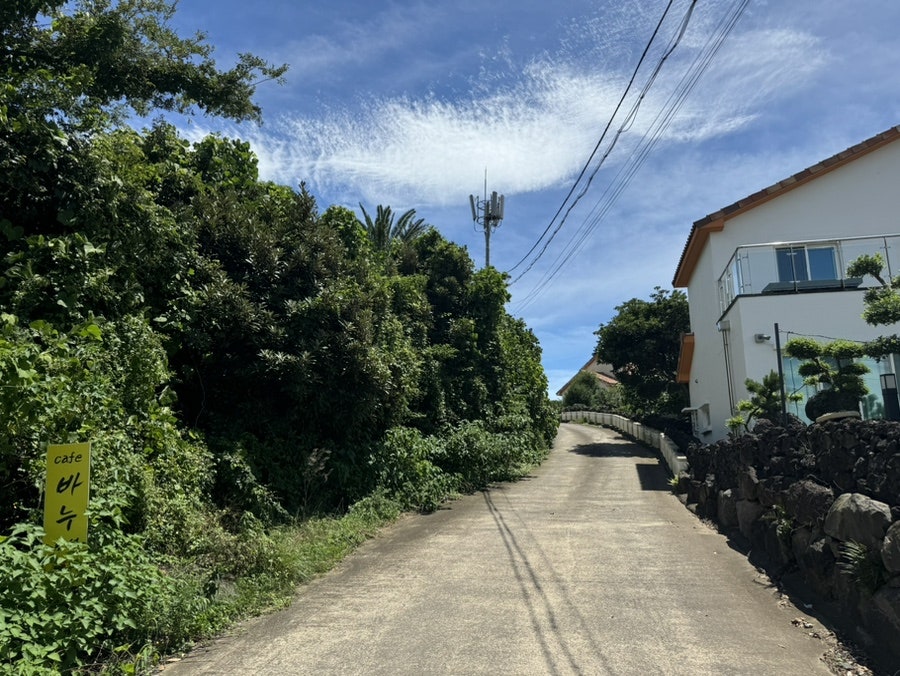 바누카페 사진 2
