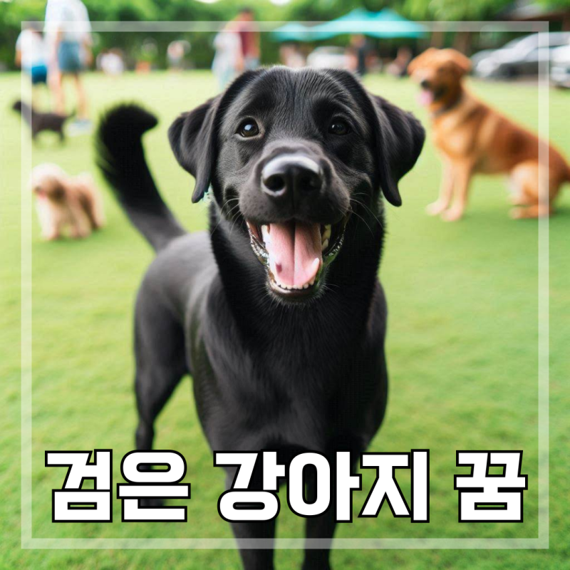 검은 강아지 꿈 검정 개꿈 해몽 풀이