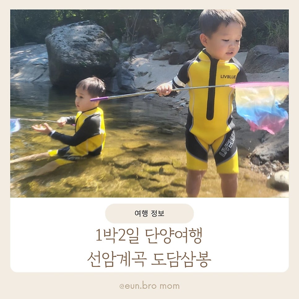 마로니에1970 사진 1