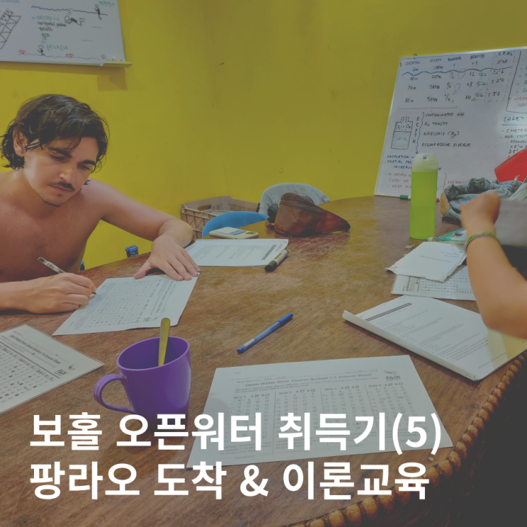  보홀 오픈워터 취득기(5) - 이론교육 오픈워터 필기 시험 문제 배포