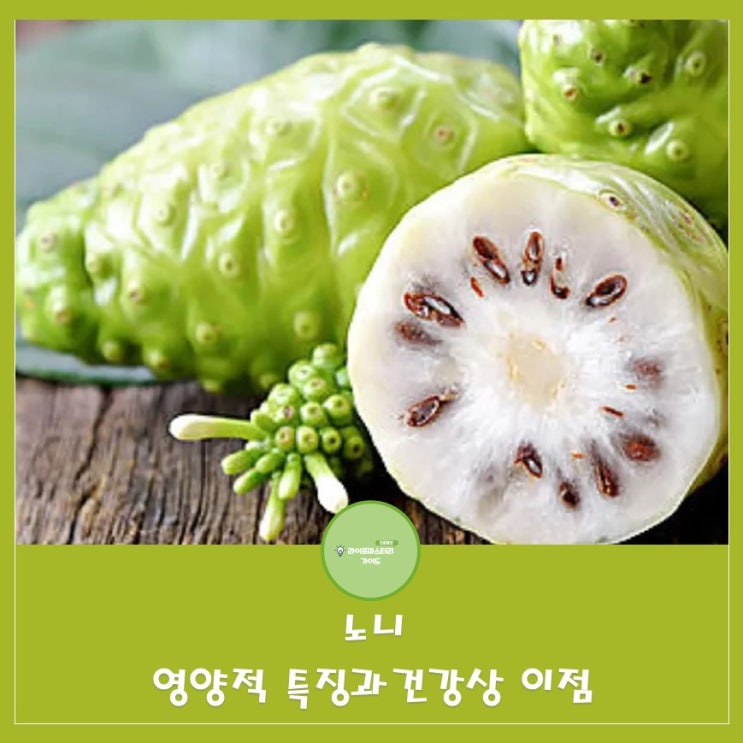  노니의 영양적 특징과 건강상 이점|만성피로회복|스트레스해소에 효과적인 노니 효능