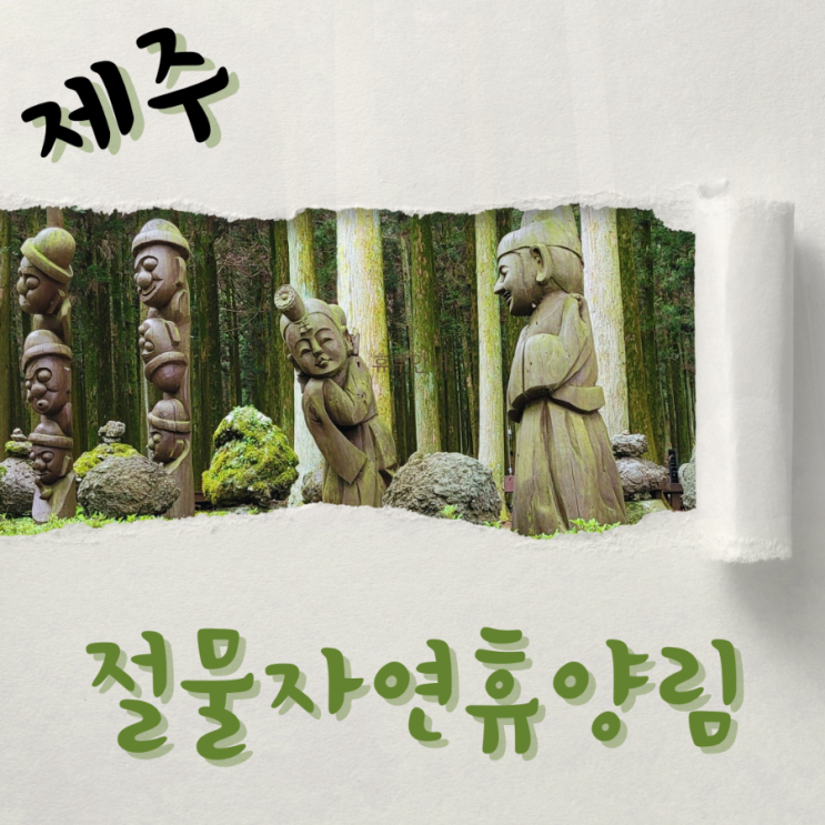  제주 동쪽 비오는날 제주절물자연휴양림 삼나무 숲길 산책하기