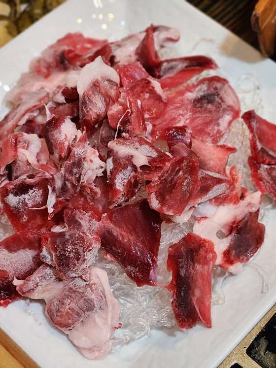 혼참치 사진 5
