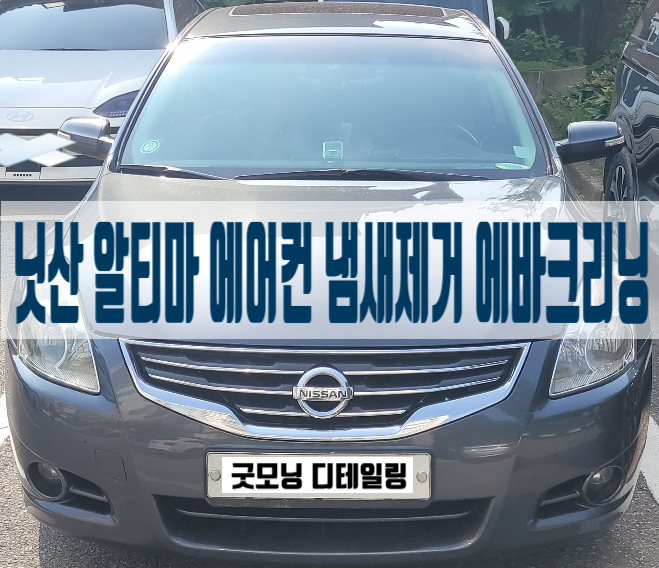  차량 실내 곰팡이 냄새 제거 알티마 에바크리닝 후기