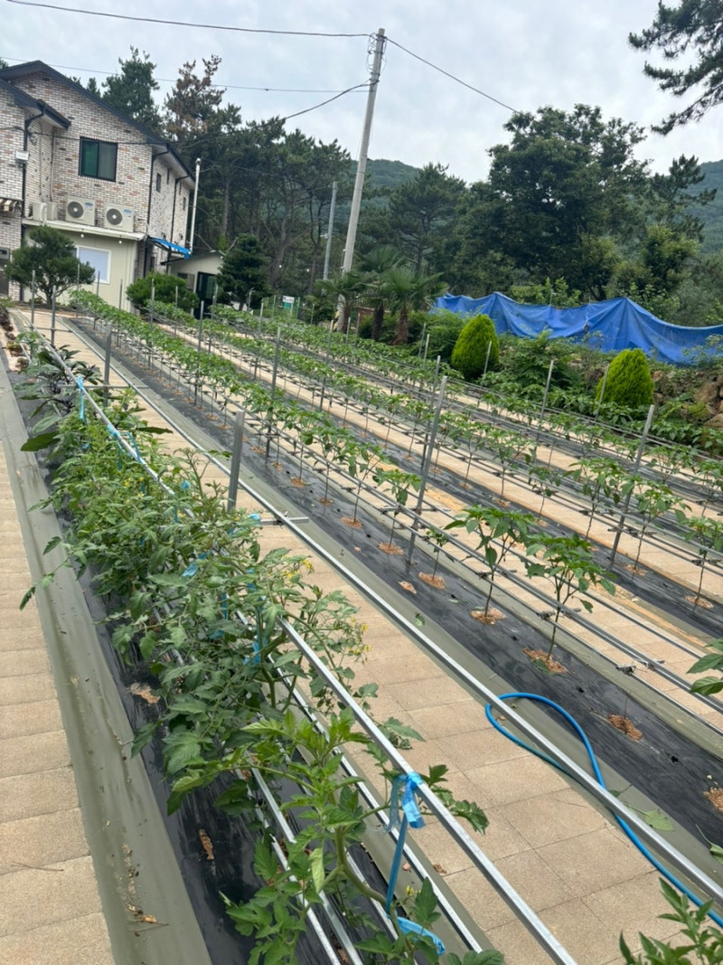 사진 6