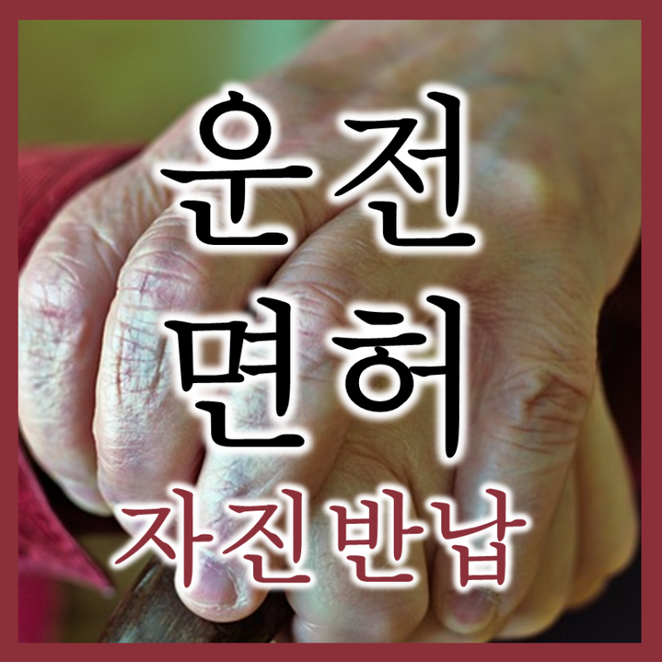  서울시청 교통사고 예방을 위한 고령 어르신 운전면허 자진반납 프로그램 (feat. 10만원 교통카드)