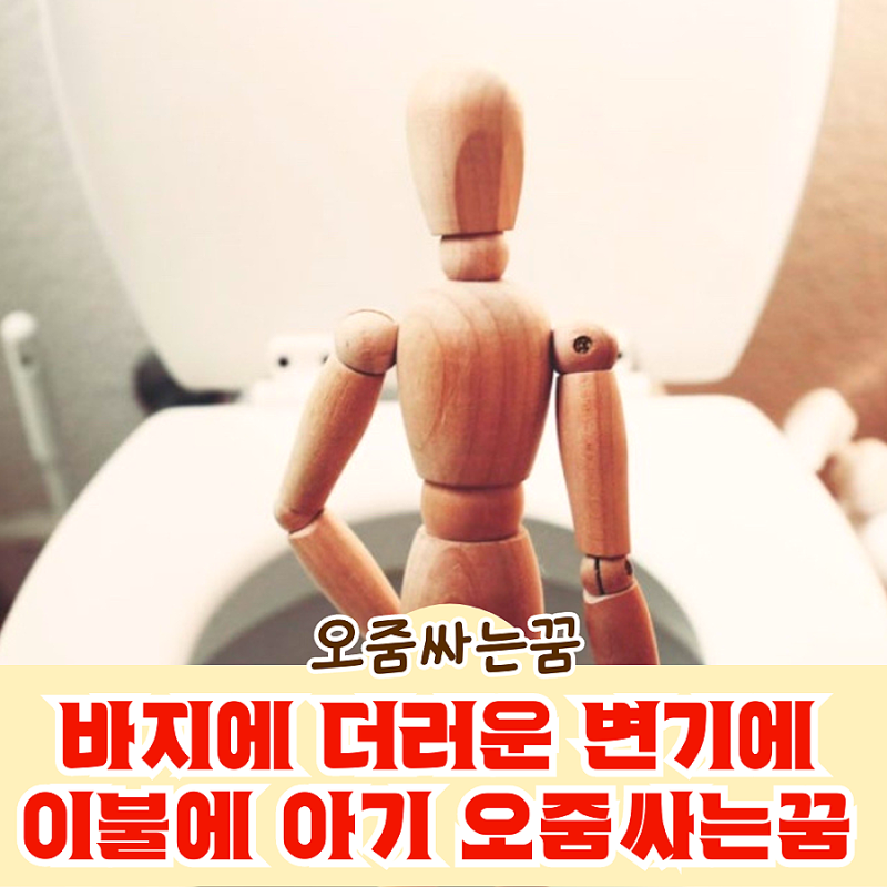 바지에 더러운 변기에 바닥에 이불에 아기가 강아지가 오줌을 싸는 꿈