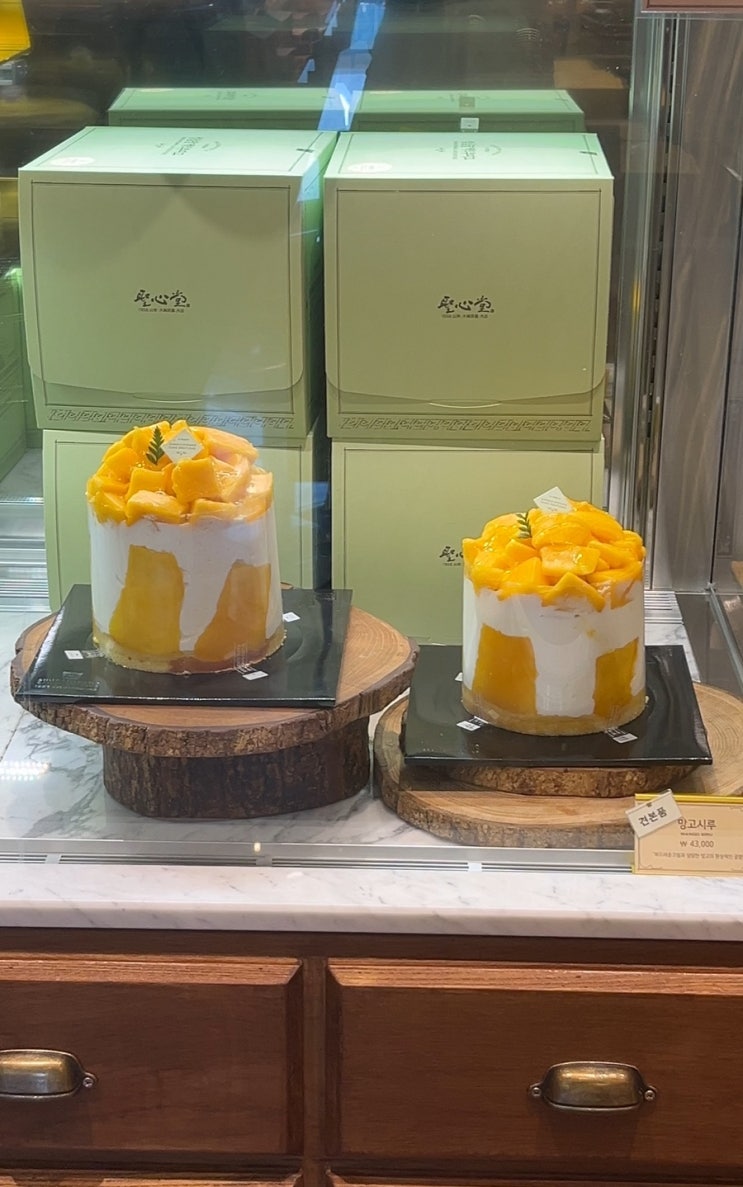  성심당 DCC점 망고빙수 후기!(망고시루 나오는 시간, 주차, 평일 웨이팅)