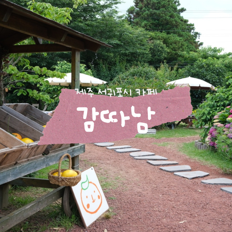 제주 서귀포 핫플 제주도 카페 추천 감따남 제주 서귀포 핫플 제주도 카페 추천 감따남