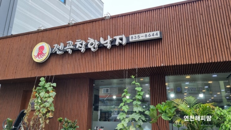  연천 전곡역 맛집 전곡착한낙지 낙지볶음 낙지파전 산낙지