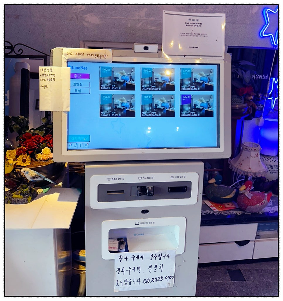 다니아무인텔 사진 6