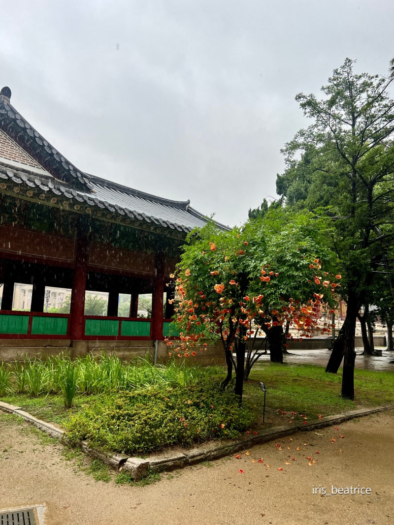 국립현대미술관 덕수궁 \u003c한국 근현대 자수: 태양을 잡으려는 새들\u003e에 다녀왔어요 서울전시후기 : 네이버 블로그, image size:800x1067