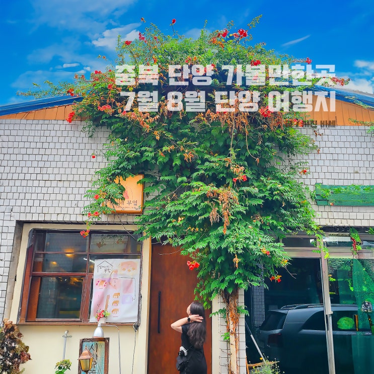  충북 단양 가볼만한곳, 단양 시장, 맛집, 계곡 등 7월 8월 단양 여행지 추천