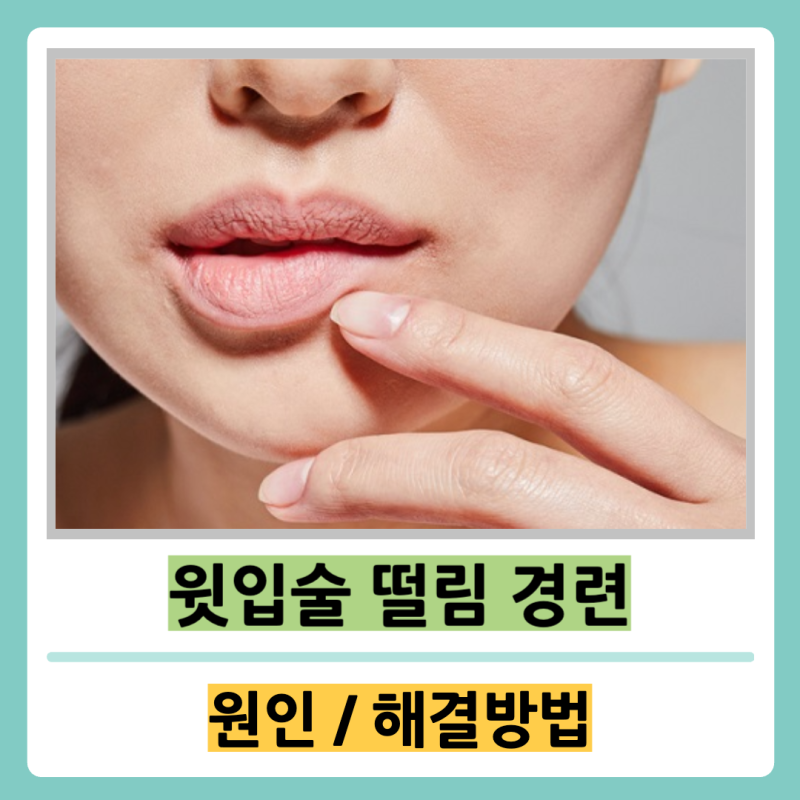 윗입술 떨림 경련이 일어나는 원인 해결방법 확인