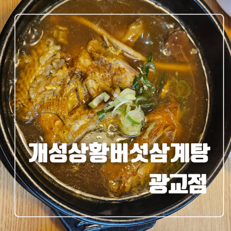  광교중앙역SK뷰 개성상황버섯삼계탕 먹고 몸보신