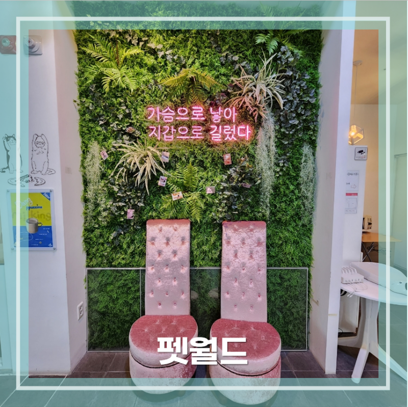 클럽펫월드 대구 검단점