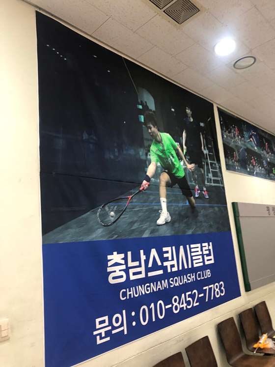 충남스쿼시클럽 사진 1