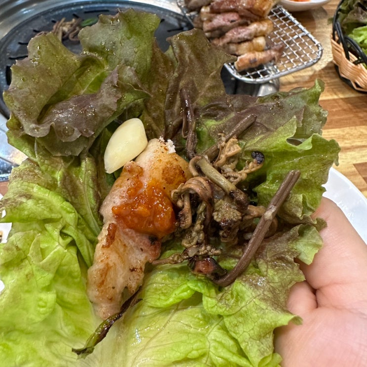  230918~24 먹고 살기