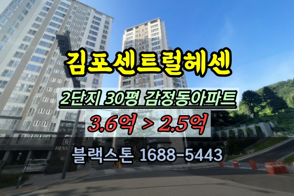  김포센트럴헤센 2단지 경매 30평 감정동 신축아파트
