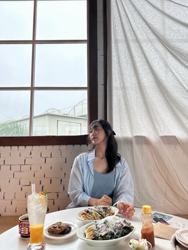  제주 서귀포 오버더센스 l 서귀포 소품샵 두더지식물원