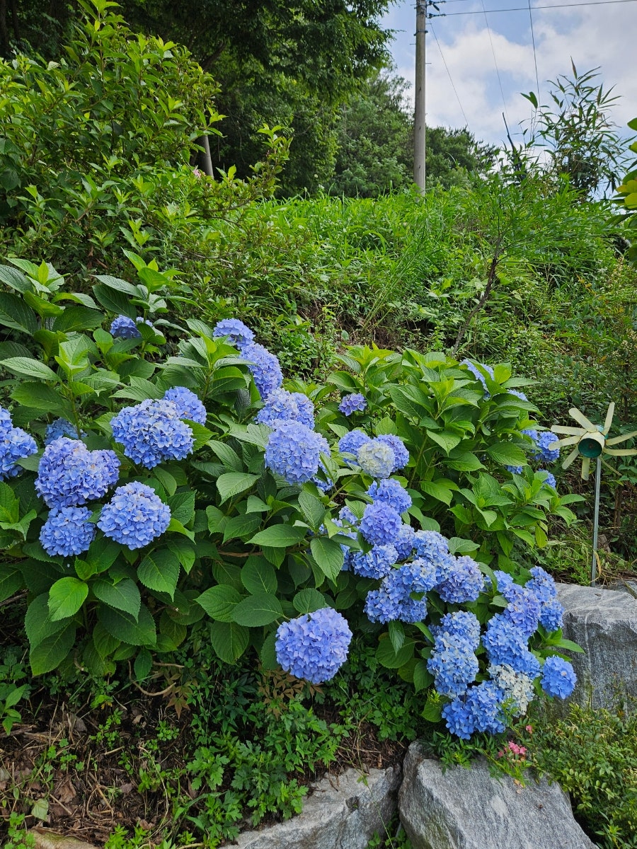 꽈배기진 금산사점 사진 4