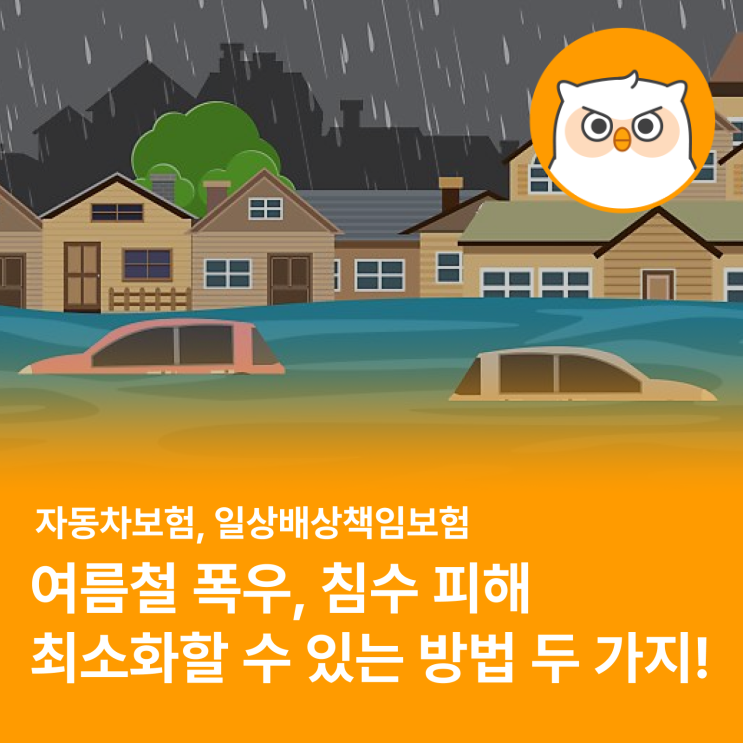  장마 시작! 폭우, 침수피해를 최소화하는 보험 정보 (feat. 자동차보험, 일배책)