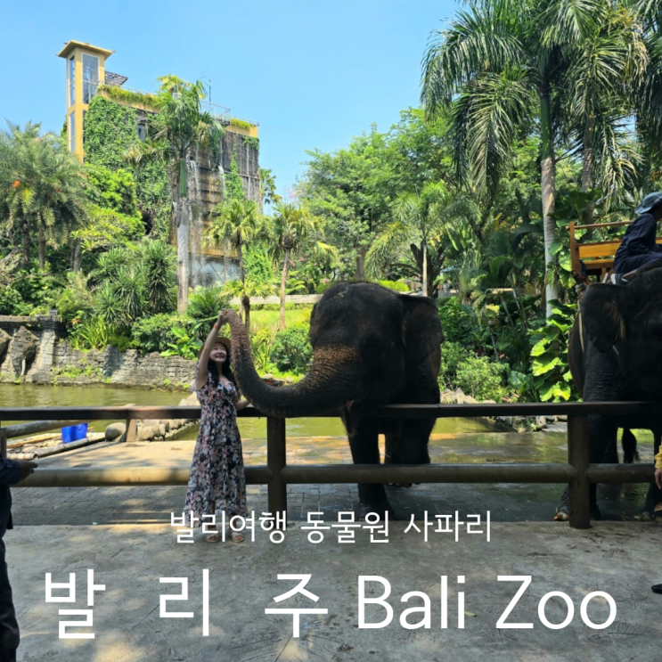  발리신혼여행 가볼만한곳 액티비티 발리 동물원 사파리 발리주 Bali Zoo