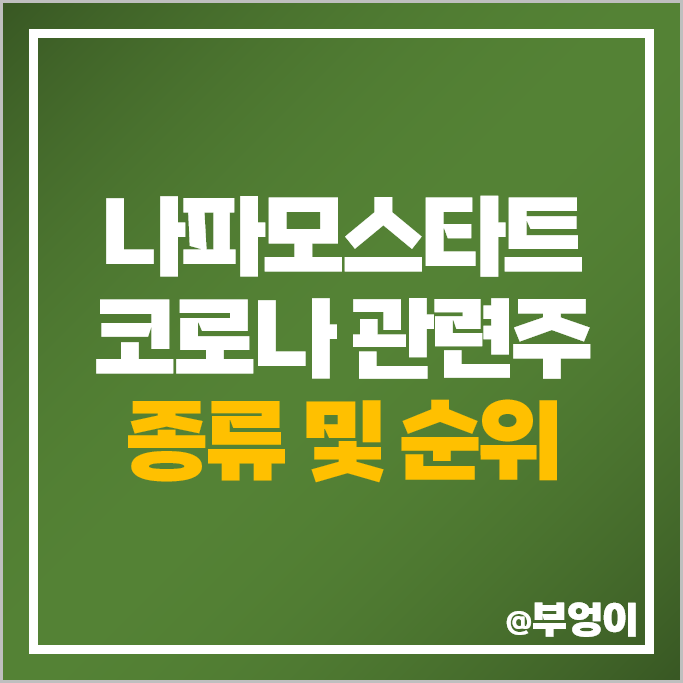 코로나 관련주 나파모스타트 테마주 펩트론 CMG제약 주가 종근당 주식 코로나 관련주 나파모스타트 테마주 펩트론 CMG제약 주가 종근당 주식