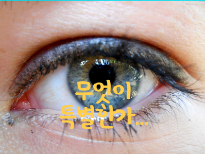  사업자 세금신고 성실하게 잘하는 곳 동탄세무사