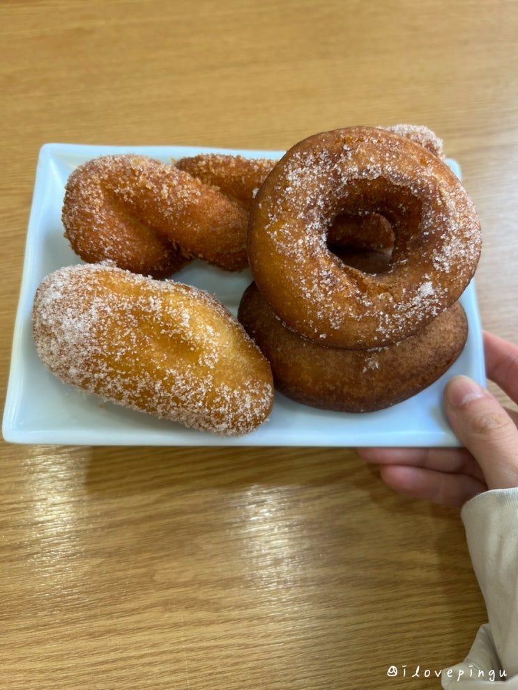  속초 중앙시장 맛집 먹거리 추천 코끼리만두분식