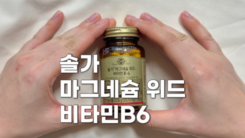 산화마그네슘 솔가 마그네슘 위드 비타민B6