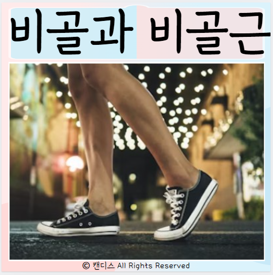 비골과 비골근 구성 손상원인은? 비골근건염 신경마비
