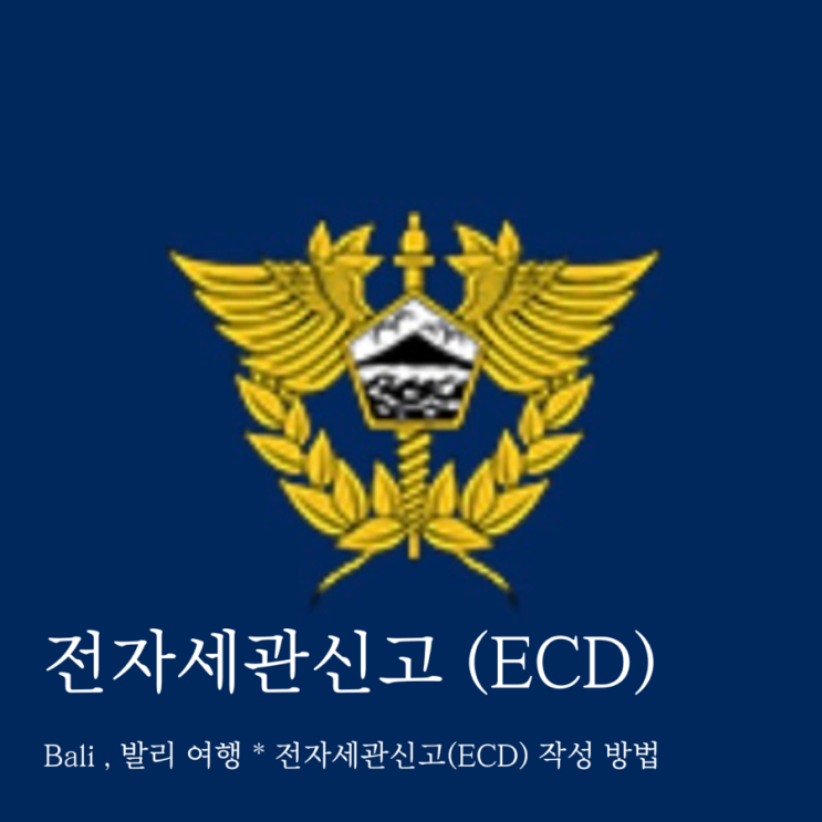  Bali , 발리 여행 * 전자세관신고(ECD) 작성 방법