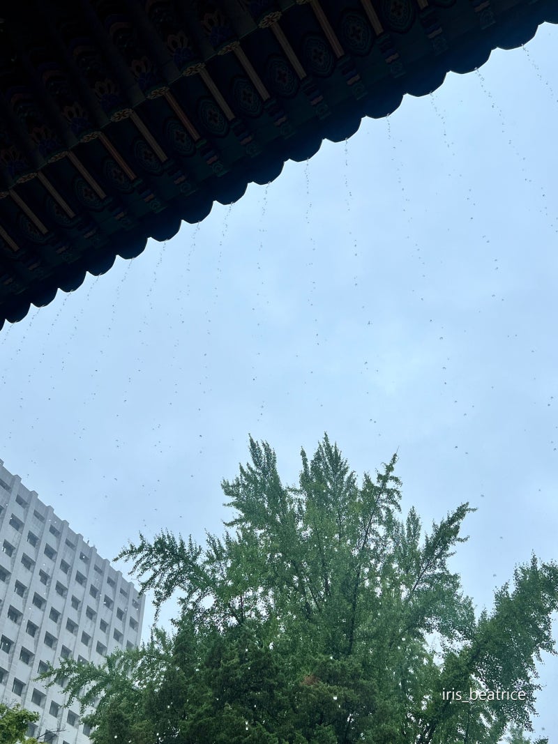 국립현대미술관 덕수궁 \u003c한국 근현대 자수: 태양을 잡으려는 새들\u003e에 다녀왔어요 서울전시후기 : 네이버 블로그, image size:800x1067