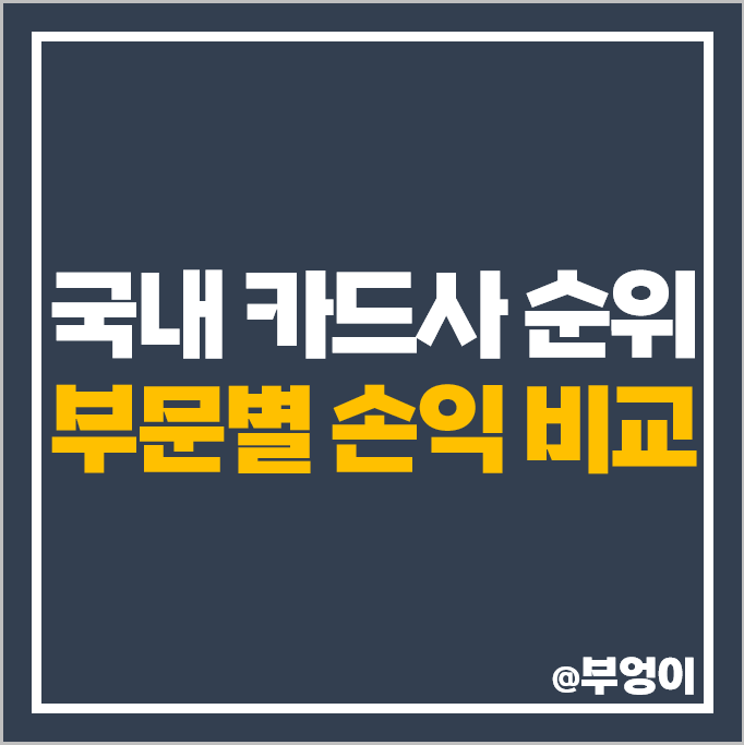 국내 신용 카드사 순위 수익 부문 이자 리스 할부금융 등 국내 신용 카드사 순위 수익 부문 이자 리스 할부금융 등