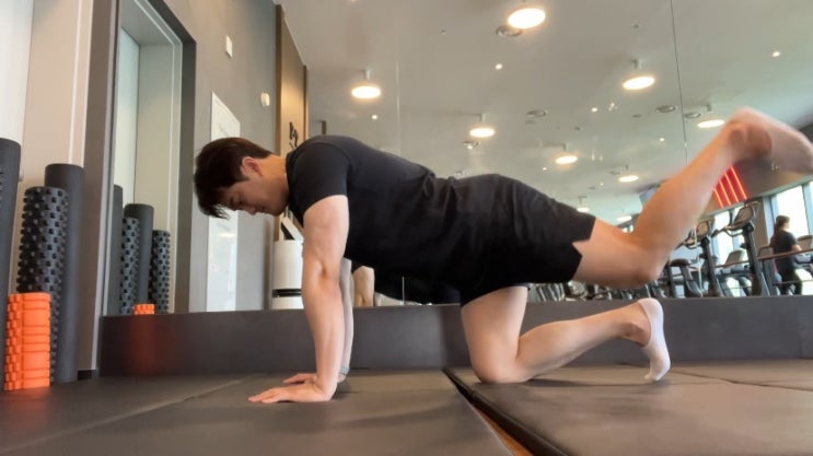 덩키킥 남자 여자 엉덩이 키우는 운동 애플힙 만드는 엉덩이 근육 운동 덩키킥 남자 여자 엉덩이 키우는 운동 애플힙 만드는 엉덩이 근육 운동