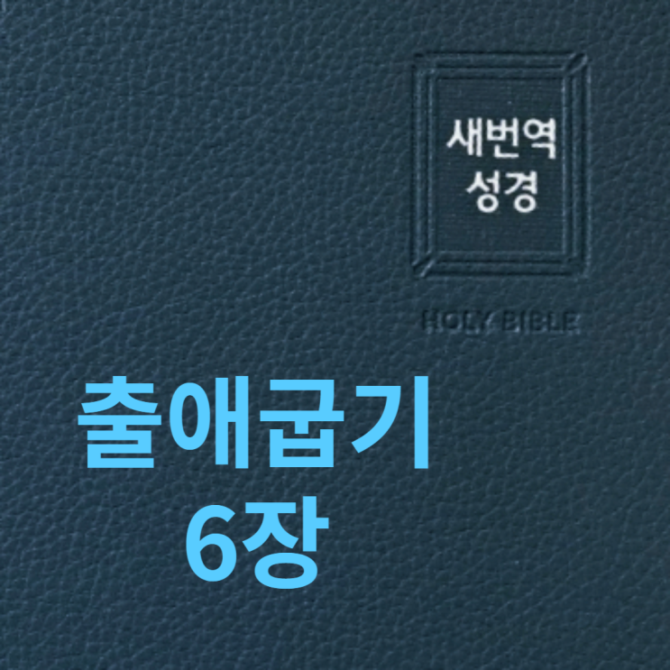 출애굽기 6장 출애굽기 6장