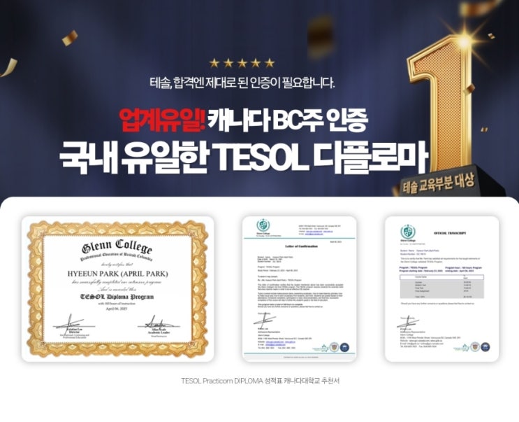  국내 테솔 커리큘럼 비교분석