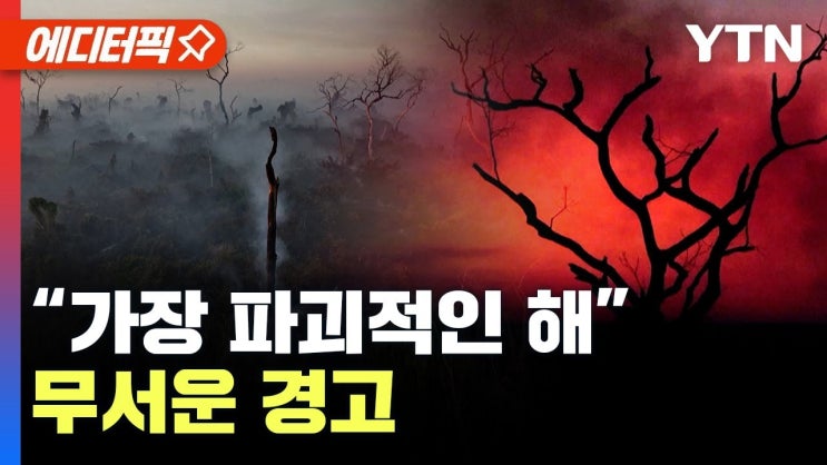 세계 최대 습지에서 ‘역대급’ 산불..전 세계 덮친 이상기후 공포 세계 최대 습지에서 ‘역대급’ 산불..전 세계 덮친 이상기후 공포