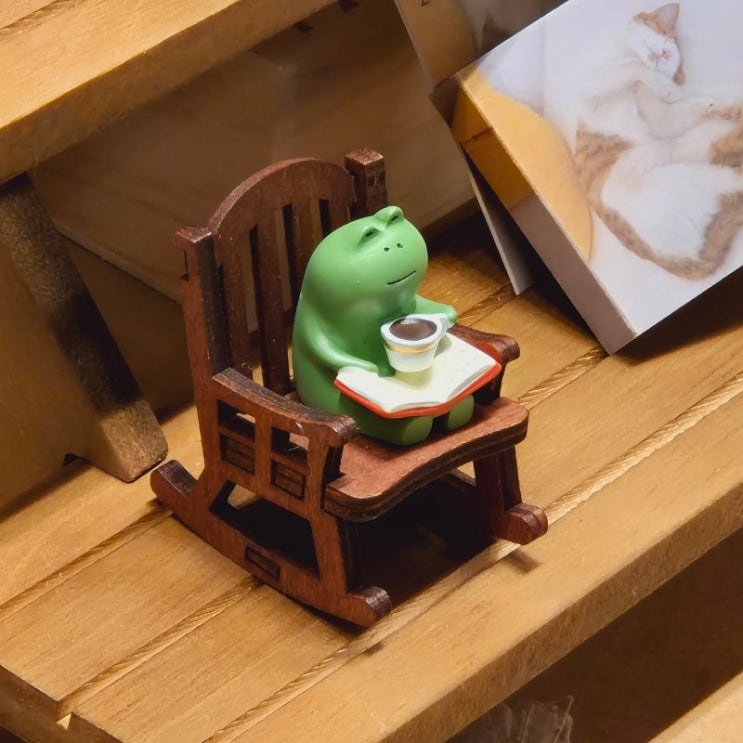  [스페셜 포토 덤프] 24/6-4 독서 Reading