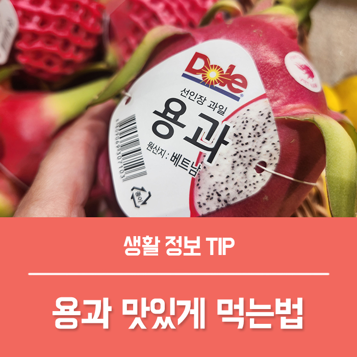  용과 효능 칼로리, 레드 용과 맛있게 먹는법은?