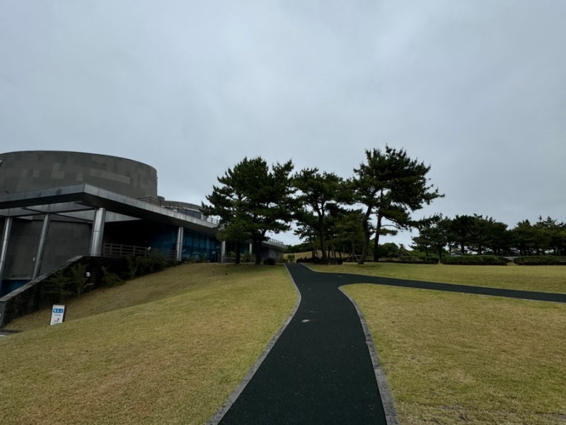 사진 7