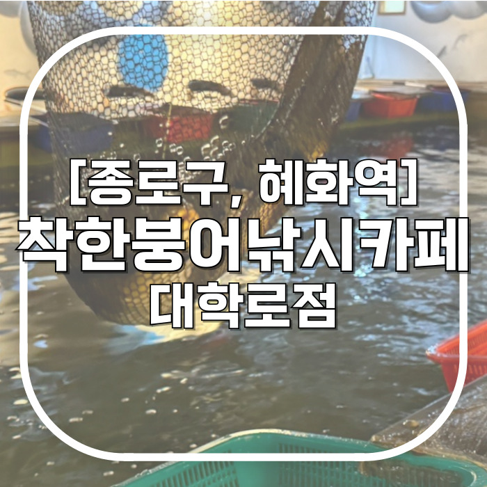  [종로구, 혜화역]착한붕어낚시카페 대학로점 / 사람에겐 수렵시절 본능이 남아있다 완전 재밌는 대학로놀거리