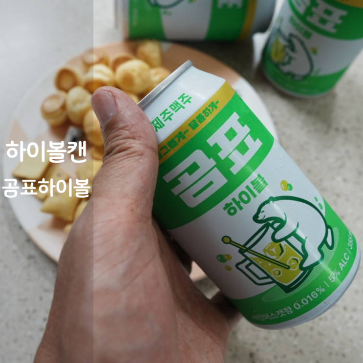  추천 편의점 하이볼 뜻 곰표 하이볼 캔 위스키 하이볼